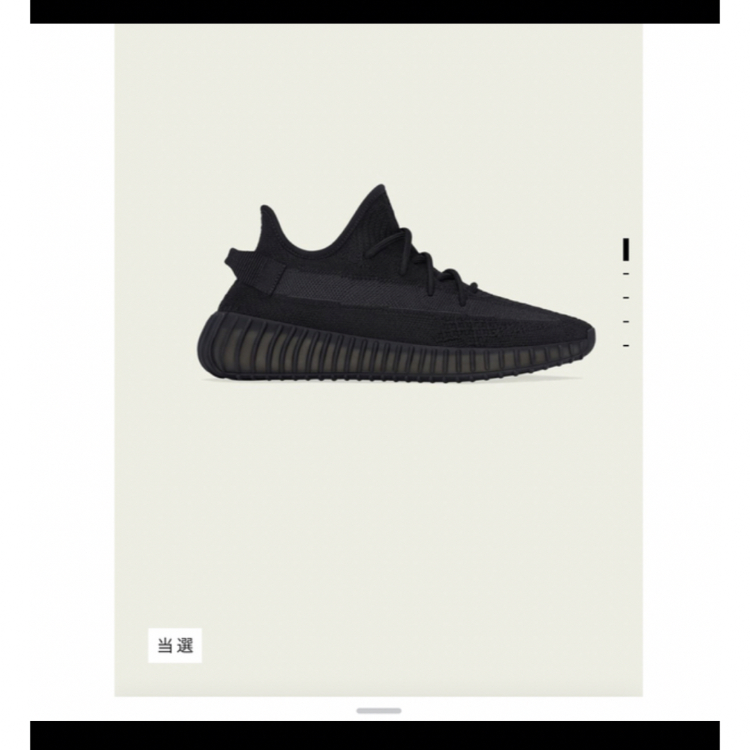 adidas yeezy boost 350V2 28.0cmイージーブースト