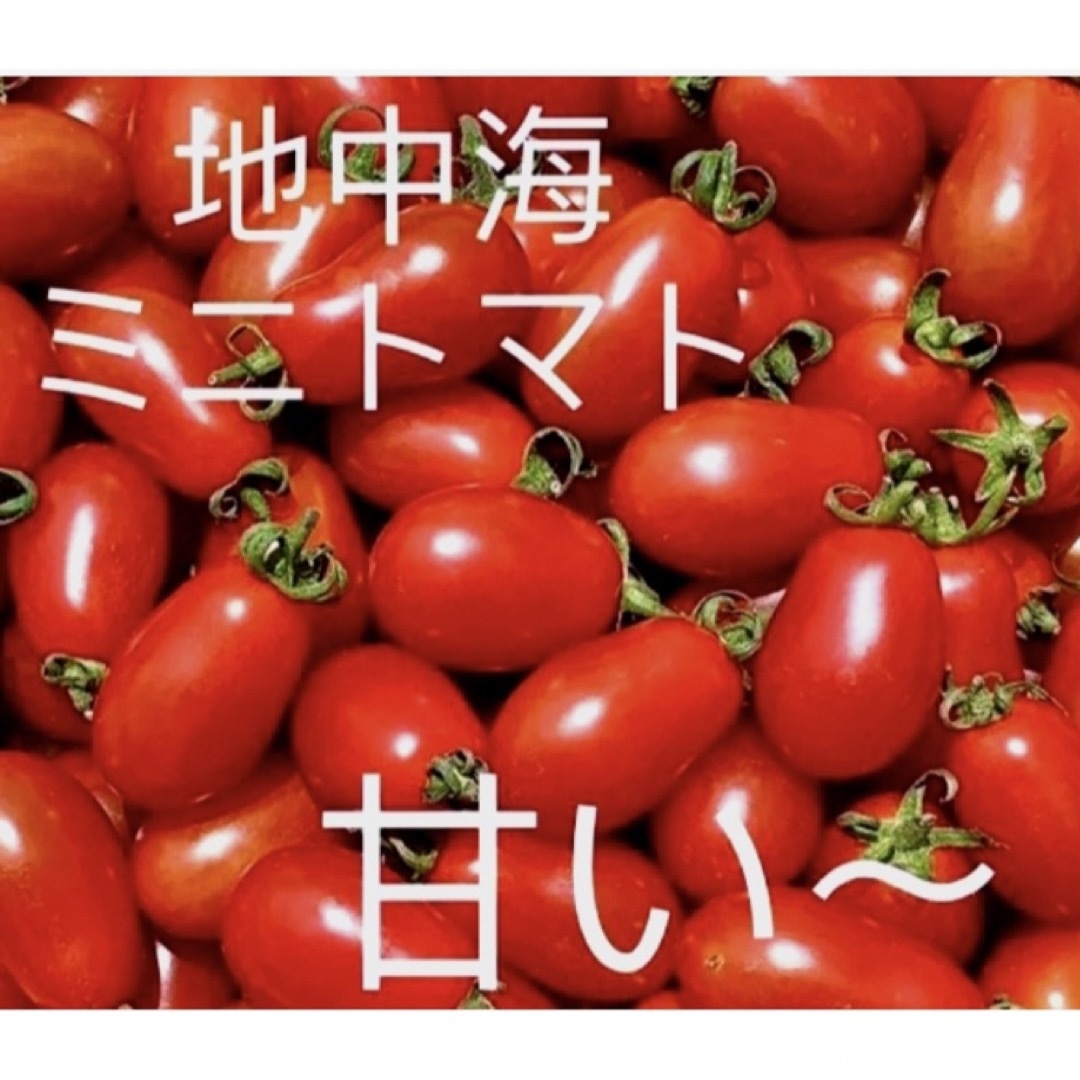 [値下げ土日限定】ミニトマト　地中海ロッソナポリタン  1キロ無農薬 食品/飲料/酒の食品(野菜)の商品写真