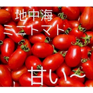 [値下げ土日限定】ミニトマト　地中海ロッソナポリタン  1キロ無農薬(野菜)