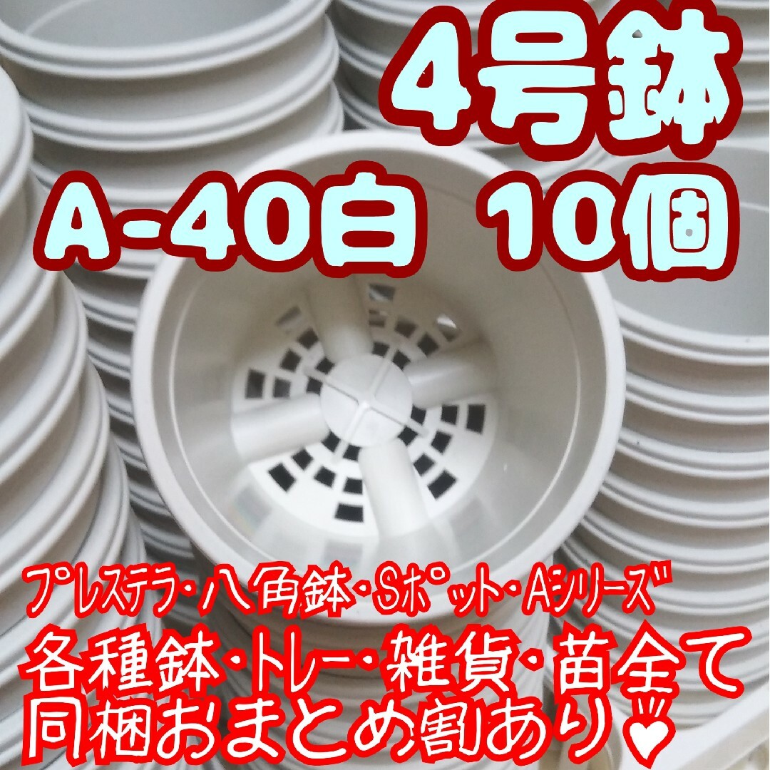 プラ鉢【A-40】10個 スリット鉢 丸 プレステラ 多肉植物 ハンドメイドのフラワー/ガーデン(プランター)の商品写真