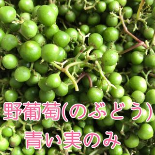 野葡萄(のぶどう) 実 400g(野菜)