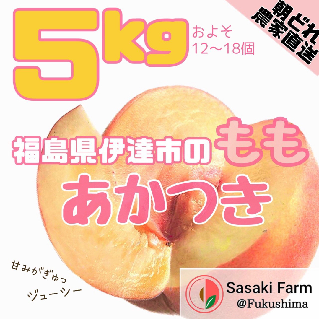 【2023年初桃！！】美味しいあかつき桃 5kgセット 12-18pcs  食品/飲料/酒の食品(フルーツ)の商品写真