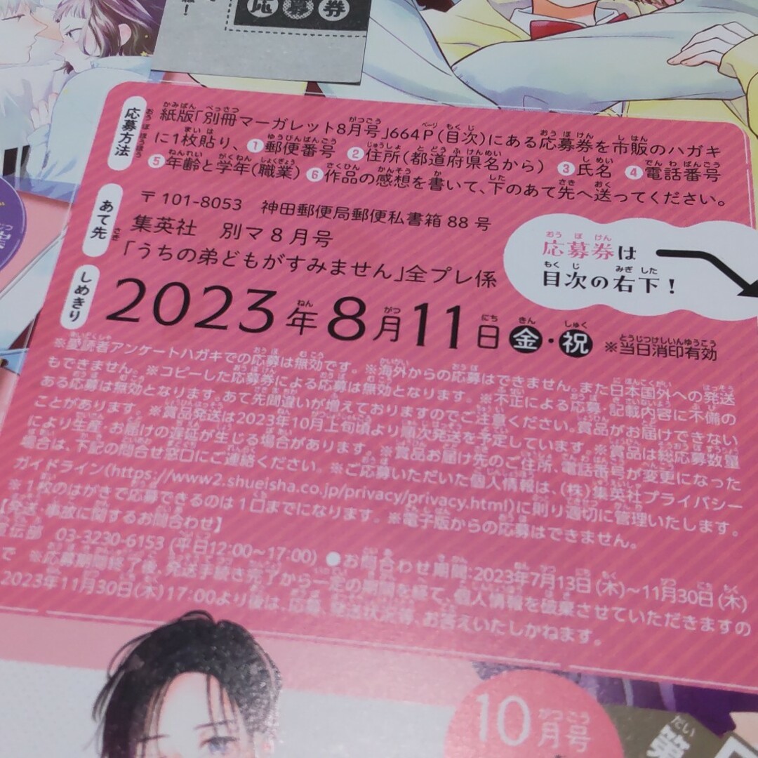 集英社(シュウエイシャ)の別冊マーガレット８月号／「うちの弟どもがすみません」ミニイラスト集 全プレ応募券 エンタメ/ホビーの漫画(その他)の商品写真