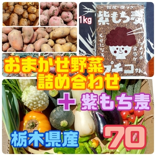 おまかせ野菜詰め合わせ＋紫もち麦1kg★スペシャルBOX【70サイズ】(野菜)
