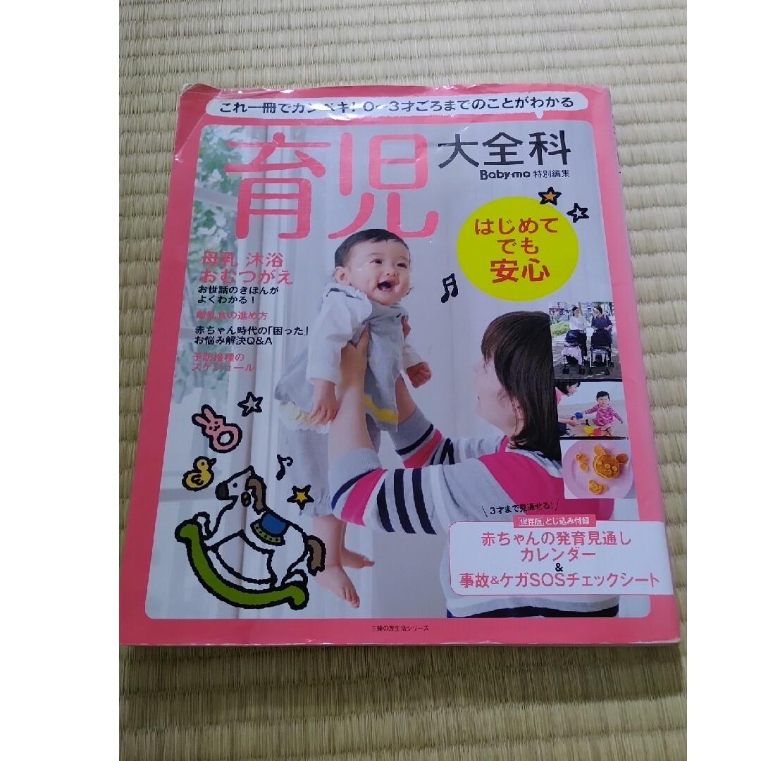 育児大全科 これ一冊でカンペキ！０～３才ごろまでのことがわかる エンタメ/ホビーの雑誌(結婚/出産/子育て)の商品写真