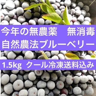 ❤︎今年の無農薬完熟冷凍ブルーベリー　１.５kg 冷凍発送込み♡(フルーツ)