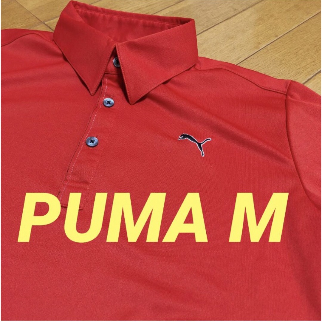 PUMA(プーマ)の美品　PUMA 半袖ポロシャツ　M スポーツ/アウトドアのゴルフ(ウエア)の商品写真