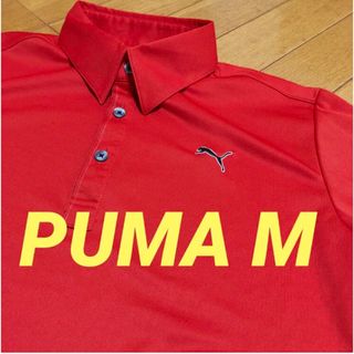 プーマ(PUMA)の美品　PUMA 半袖ポロシャツ　M(ウエア)