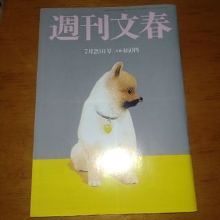 ブンゲイシュンジュウ(文藝春秋)の週刊文春 2023年 7/20号(ニュース/総合)