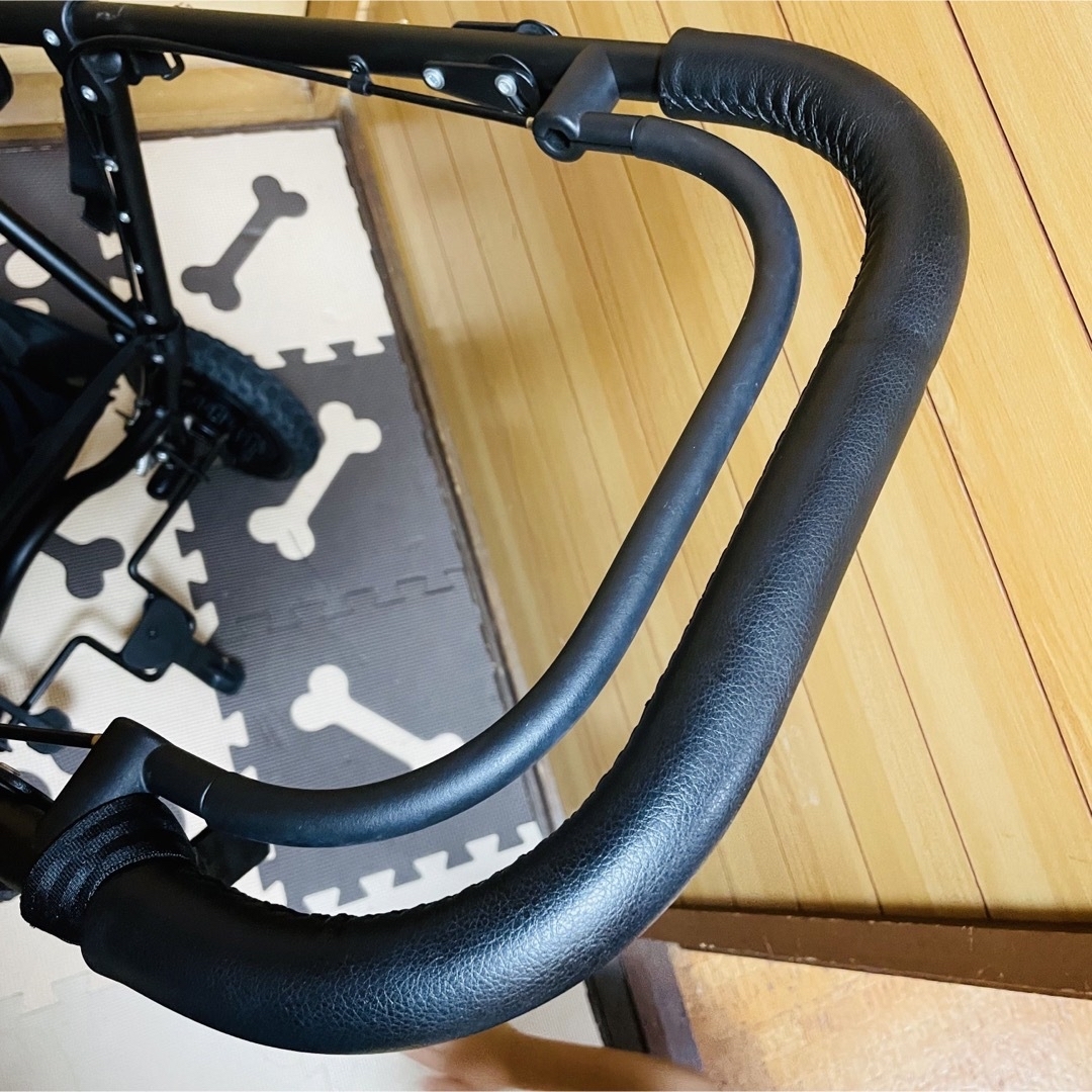 AIRBUGGY - 美品 エアバギー ココブレーキ プレミア フレームのみの