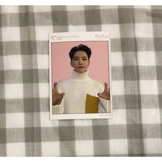 SEVENTEEN - SEVENTEEN オフィシャル FC カラモバ W会員 カード ホシの