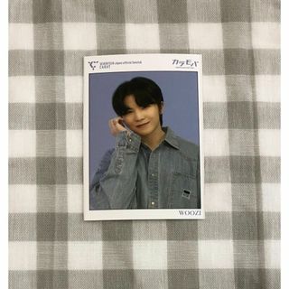 SEVENTEEN - SEVENTEEN オフィシャル FC カラモバ W会員 カード ウジの