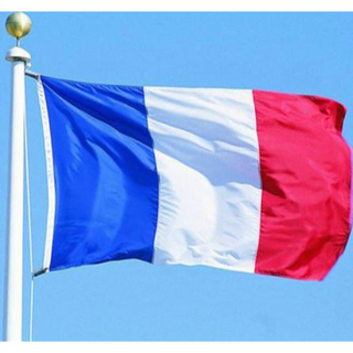 新品 フランス 国旗 送料無料 150cm x 90cm 人気 大サイズ(のれん)