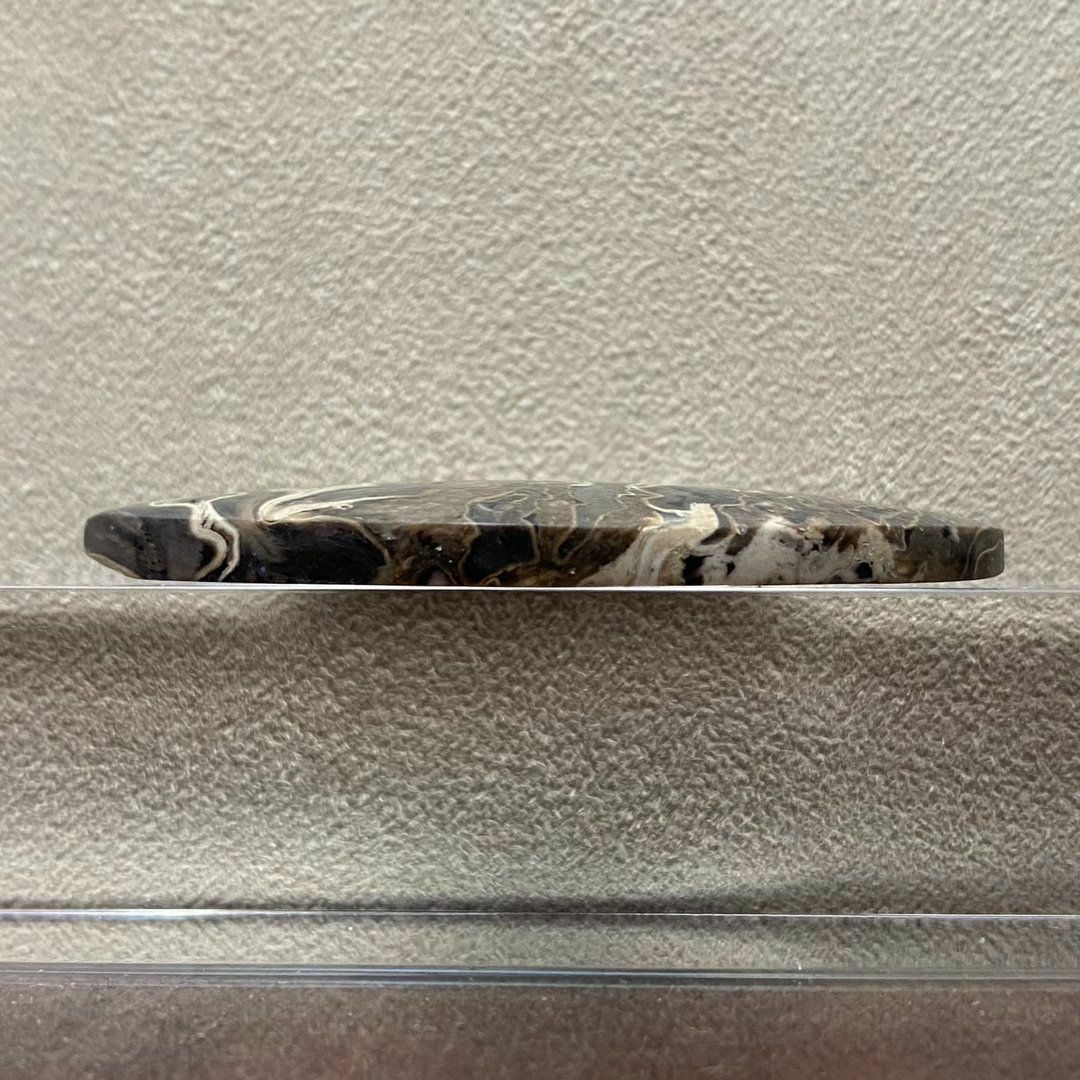 初回限定】 ペトリファイド パームウッド 珪化木 ルース 天然石 化石