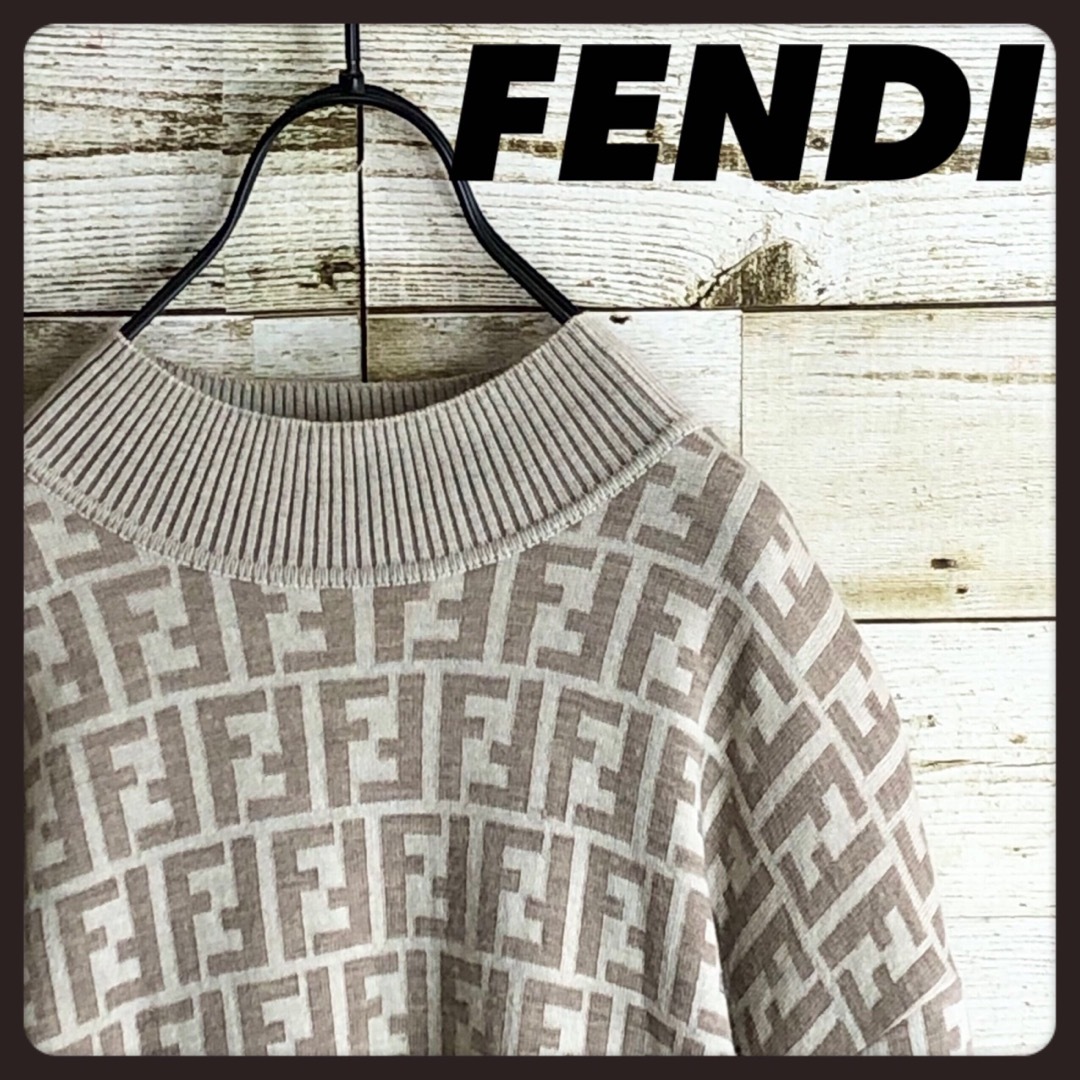 FENDI - 即完売 FENDI フェンディ ズッカ柄満載 ウール100% ニット