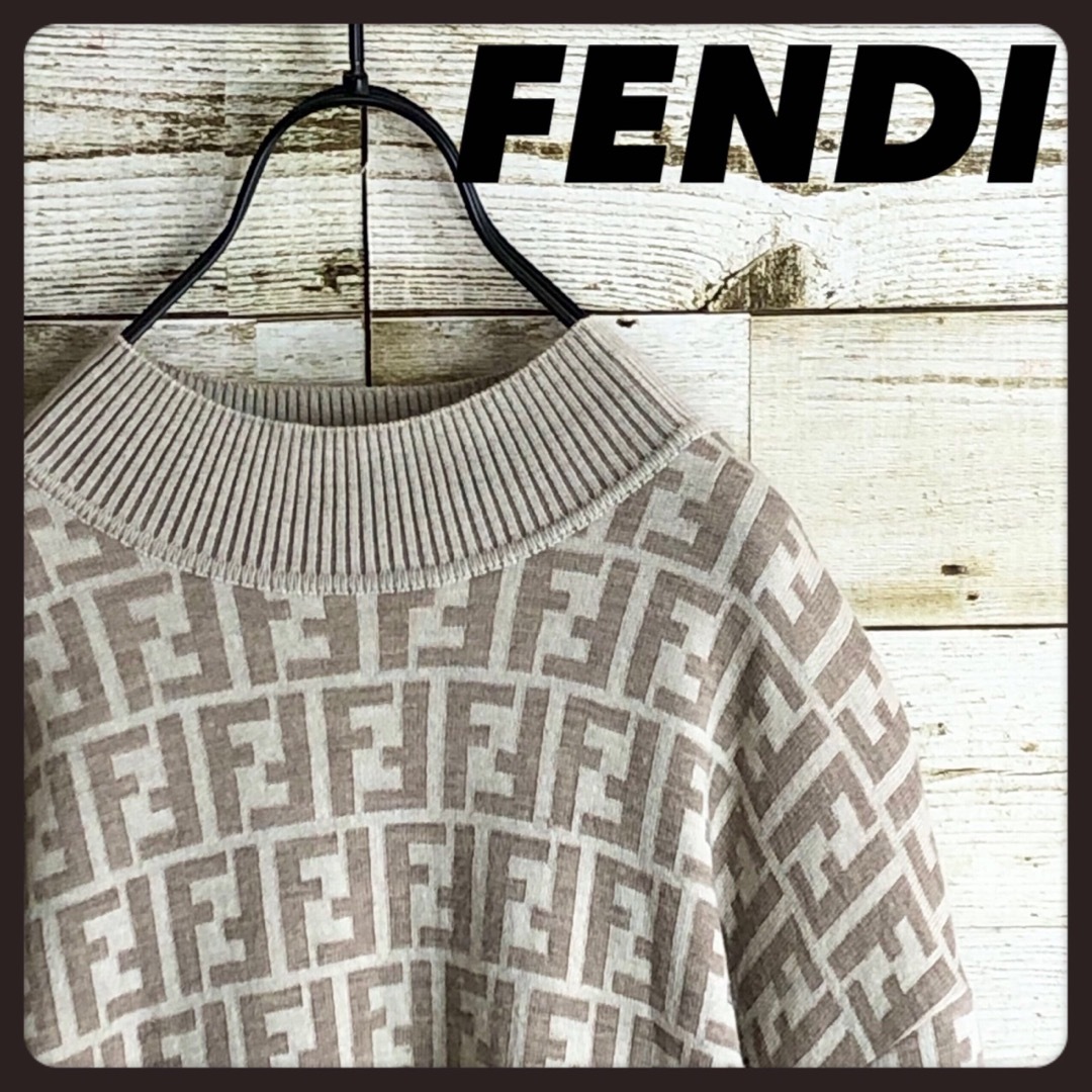 FENDI(フェンディ)の即完売 FENDI フェンディ ズッカ柄満載 ウール100% ニット セーター メンズのトップス(ニット/セーター)の商品写真