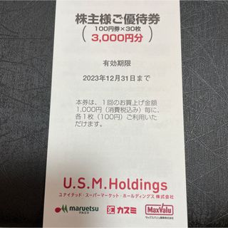 USMH 株主優待券　3000円分　送料無料(ショッピング)