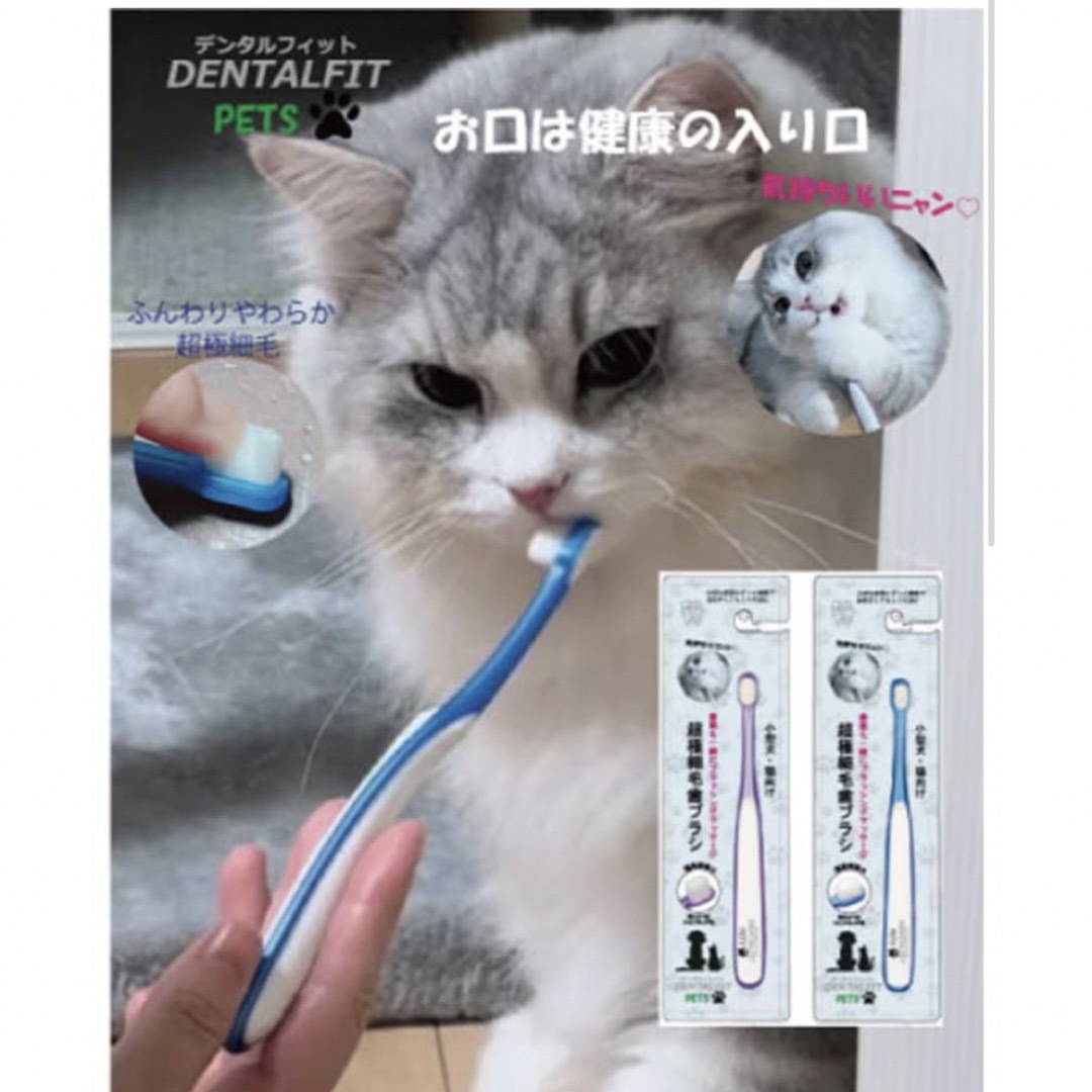 デンタルフィット　PETS  ペット用 小型犬・猫向け 超極細毛歯ブラシ　2本 その他のペット用品(犬)の商品写真