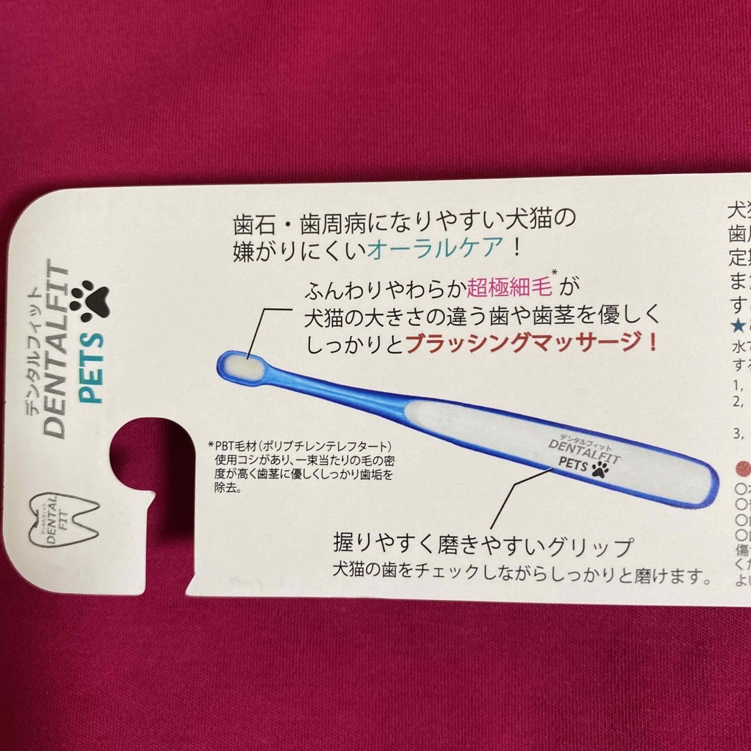 デンタルフィット　PETS  ペット用 小型犬・猫向け 超極細毛歯ブラシ　2本 その他のペット用品(犬)の商品写真