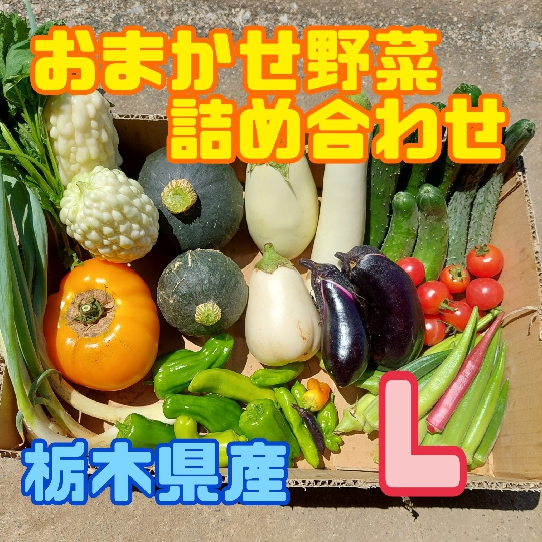 おまかせ野菜詰め合わせBOX【L】 食品/飲料/酒の食品(野菜)の商品写真