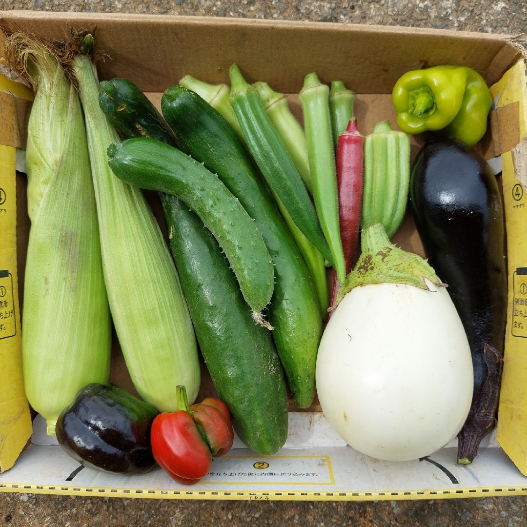 おまかせ野菜詰め合わせBOX【L】 食品/飲料/酒の食品(野菜)の商品写真