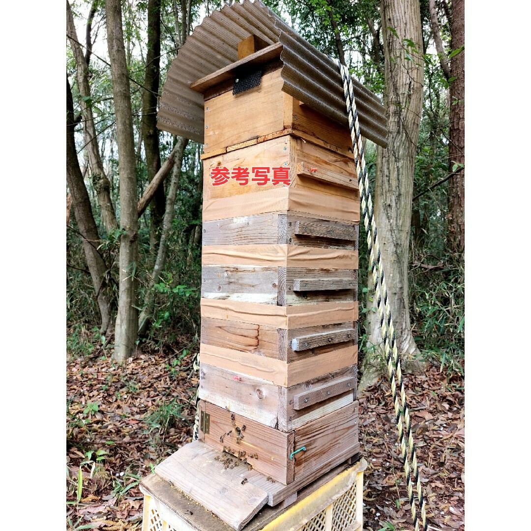 日本蜜蜂巣箱四段