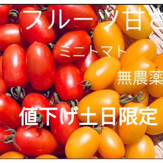 【値下げ土日限定】フルーツミニトマト　アイコ2色ミックス　1キロ　無農薬(野菜)