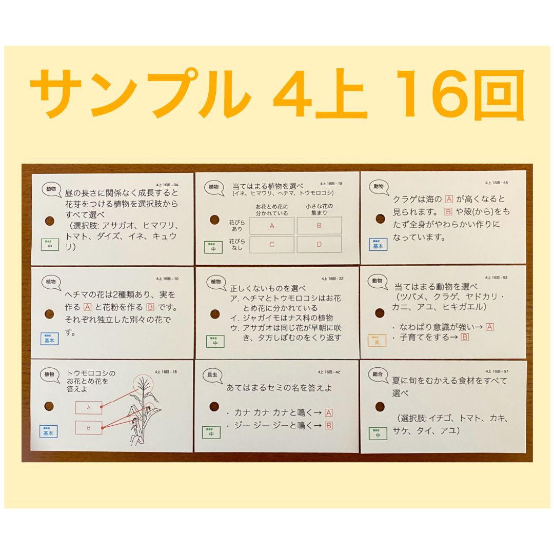 中学受験 暗記カード【4年生向け 理科 生物セット】植物,動物の 中学受験 暗記カード【4年生向け 理科 生物セット】植物,動物の