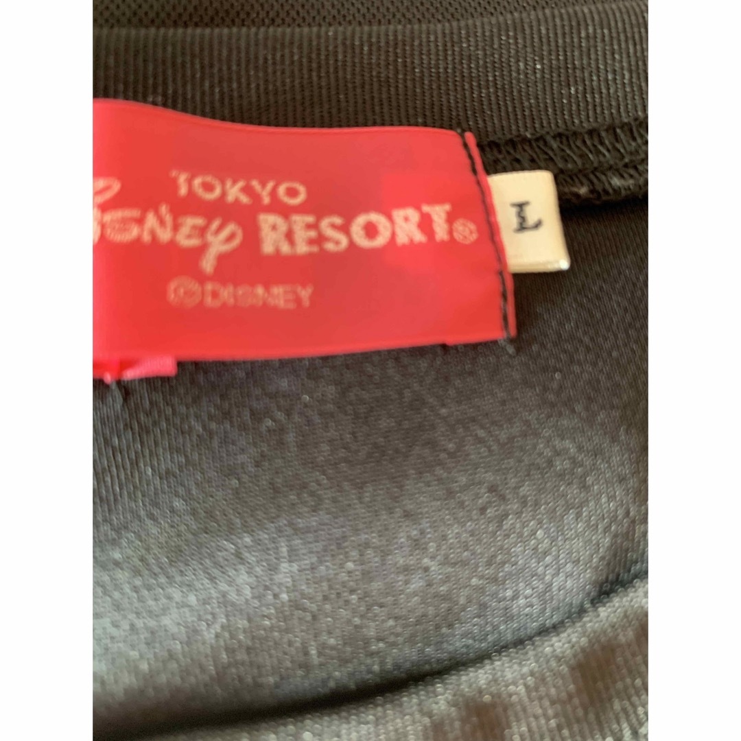 Disney(ディズニー)のディズニーリゾートtシャツ  Lサイズ レディースのトップス(Tシャツ(半袖/袖なし))の商品写真