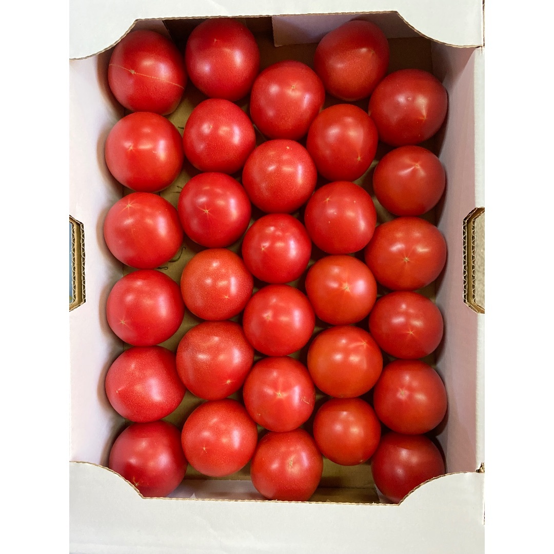 食べやすい大きさ‼️小粒トマトを2段重ねにしてお届け‼️ 食品/飲料/酒の食品(野菜)の商品写真