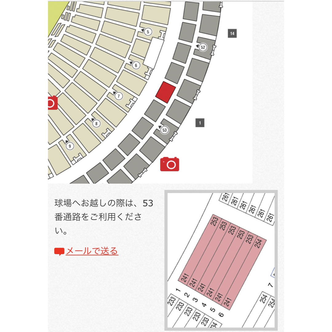 阪神タイガース(ハンシンタイガース)のプロ野球チケット チケットのスポーツ(野球)の商品写真