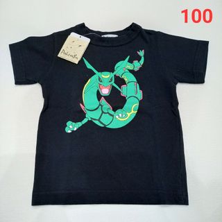 ポケモン(ポケモン)のポケモン　ポケットモンスター　レックウザ　Tシャツ(Tシャツ/カットソー)