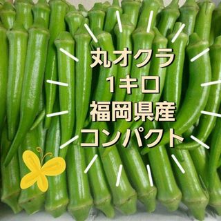 朝採れ新鮮丸オクラ1キロ　福岡県産(野菜)