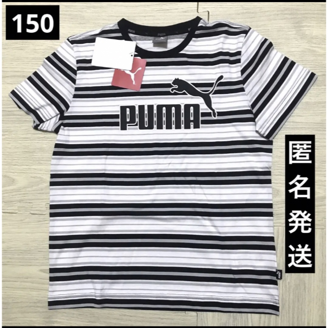 PUMA(プーマ)の新品　150 PUMA プーマ　半袖Tシャツ　ボーダー黒　白 キッズ/ベビー/マタニティのキッズ服男の子用(90cm~)(Tシャツ/カットソー)の商品写真