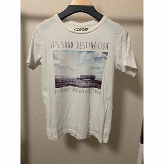 半袖白Tシャツ サイズL(Tシャツ/カットソー(半袖/袖なし))