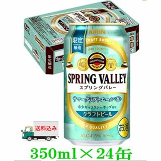 格安❕キリンスプリングバレーサマーエール350ml/24缶×2箱セット