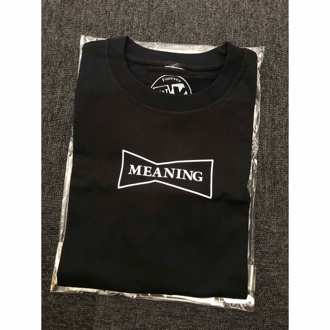 Girls Don't Cry(ガールズドントクライ)の【限定】MEANING × WY Tee 背面ロゴTシャツ ヴェルディ メンズのトップス(Tシャツ/カットソー(半袖/袖なし))の商品写真