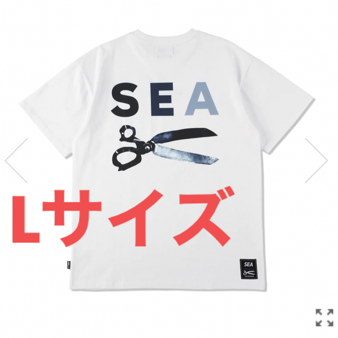 【Lサイズ】WIND AND SEA DENHAM Razor Tee Tシャツ