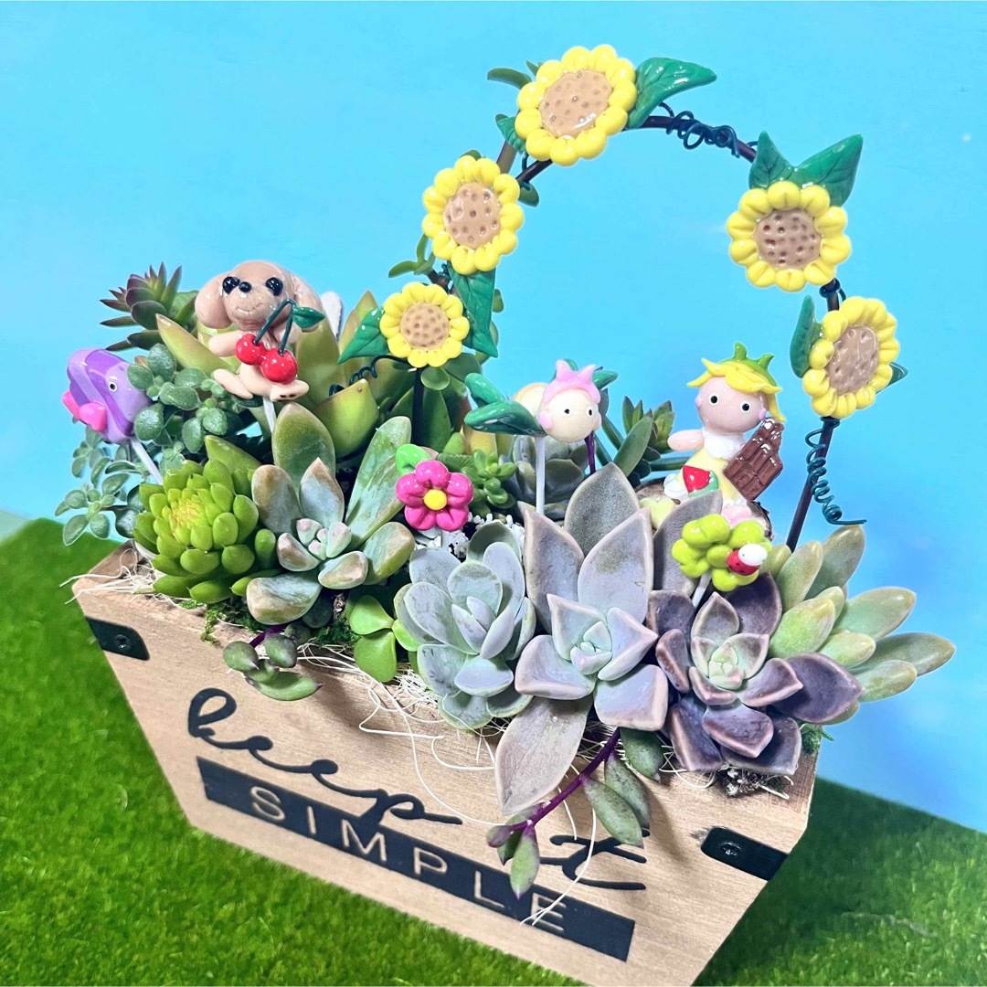 そのまま飾れる〜多肉植物寄せ植え(樹脂粘土レジン)粘土細工の通販 by