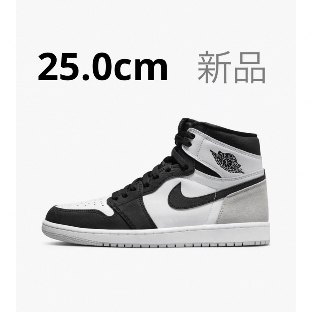 Nike Air Jordan 1 High OG "Rebellionaire