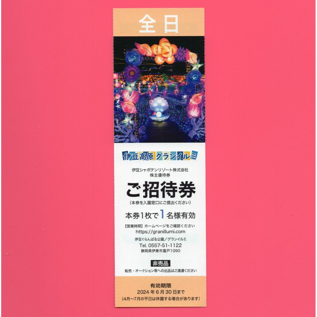 伊豆高原グランイルミ  平日限定 4名分+ 全日1名分 チケットの施設利用券(遊園地/テーマパーク)の商品写真