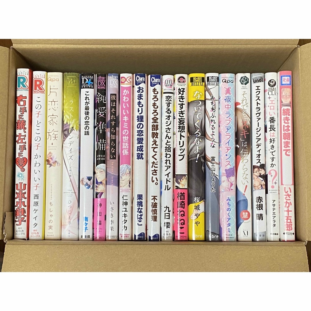 BLコミック 2冊400円 - ボーイズラブ(BL)