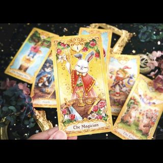 animal tarot card 正規台湾よりお取り寄せ(趣味/スポーツ/実用)