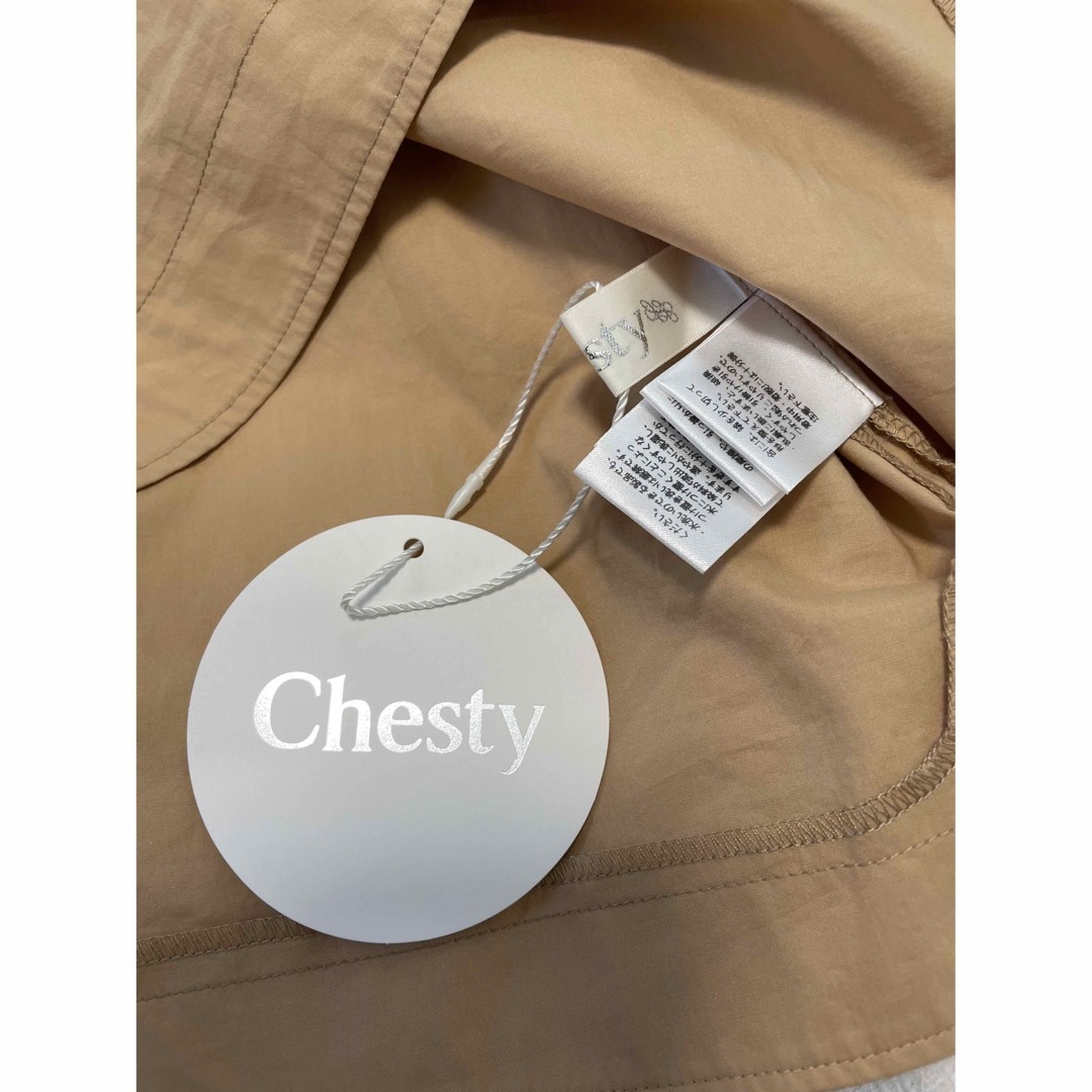 Chesty(チェスティ)のchesty ボリューム袖フリルブラウス レディースのトップス(シャツ/ブラウス(半袖/袖なし))の商品写真