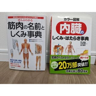 筋肉の名前としくみ辞典　内臓のしくみはたらき辞典(健康/医学)