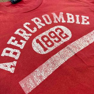 アバクロンビーアンドフィッチ(Abercrombie&Fitch)のAbercrombie＆Fitchアバクロ　ダメージTシャツ【used】(Tシャツ/カットソー(半袖/袖なし))