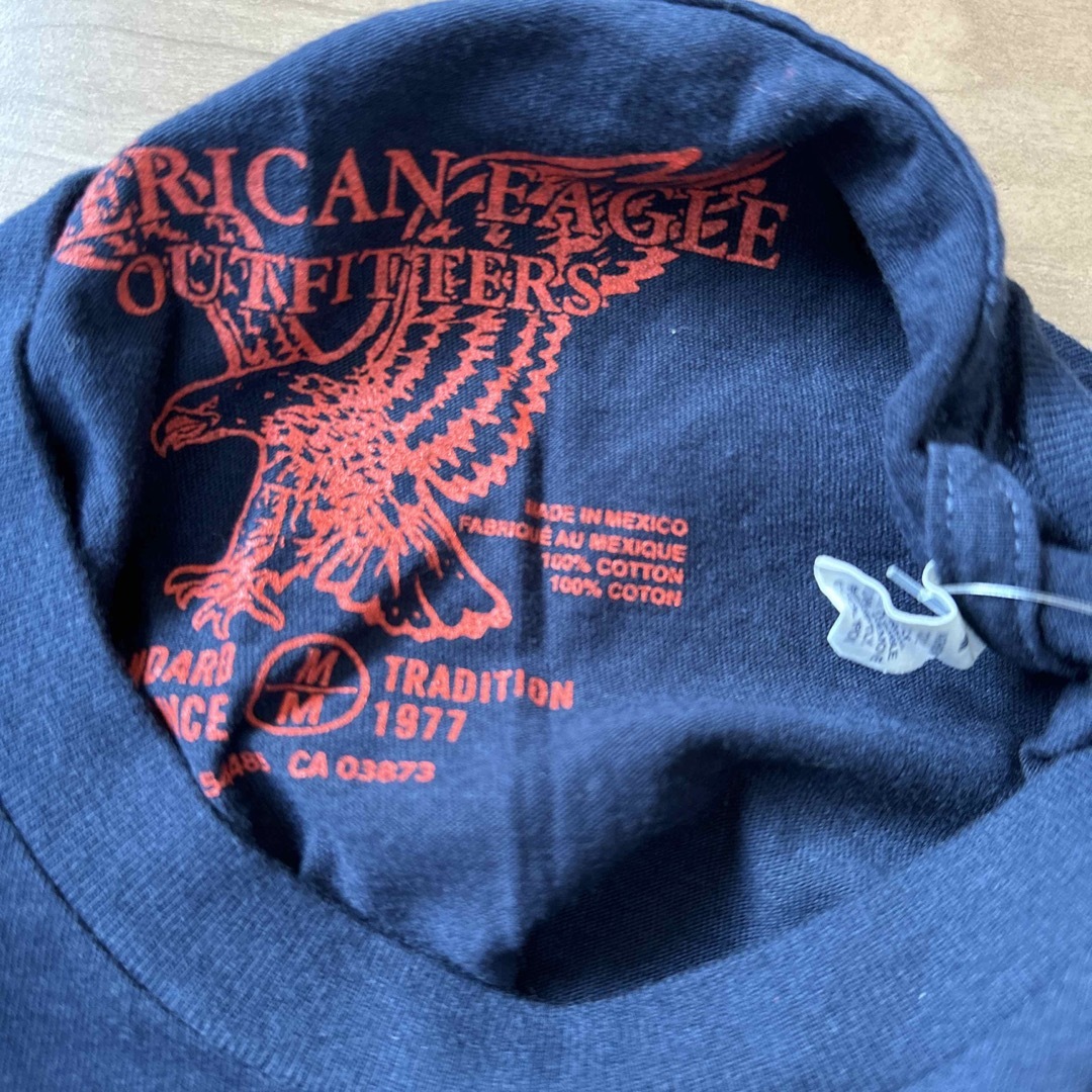 American Eagle(アメリカンイーグル)のアメリカンイーグル【未使用】Tシャツ メンズのトップス(Tシャツ/カットソー(半袖/袖なし))の商品写真