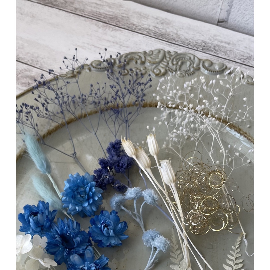大地農園(オオチノウエン)の花材セット　Blue&White  ヘリクリサム　かすみ草　大地農園 ハンドメイドの素材/材料(各種パーツ)の商品写真