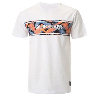 クイックシルバー(QUIKSILVER)のクイックシルバー(Tシャツ/カットソー(半袖/袖なし))