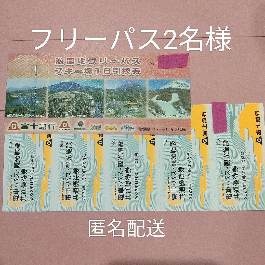 富士急ハイランド　フリーパス　2名様 チケットの施設利用券(遊園地/テーマパーク)の商品写真